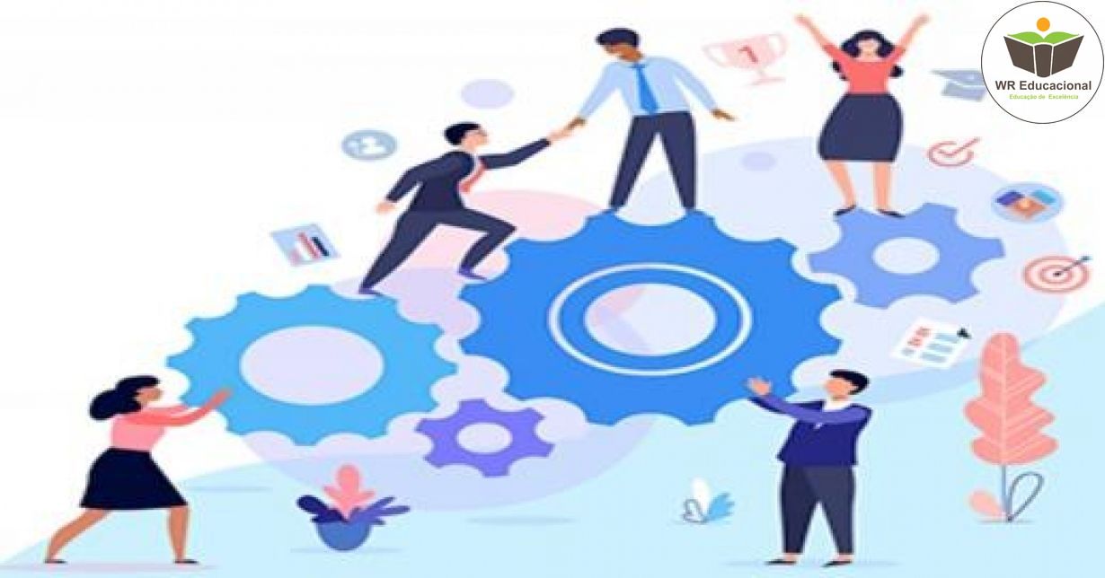 DESENVOLVIMENTO ORGANIZACIONAL