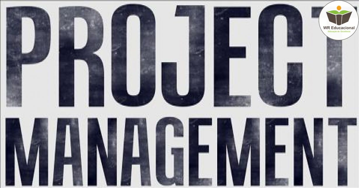 PRINCÍPIOS DA GESTÃO DE PROJETOS