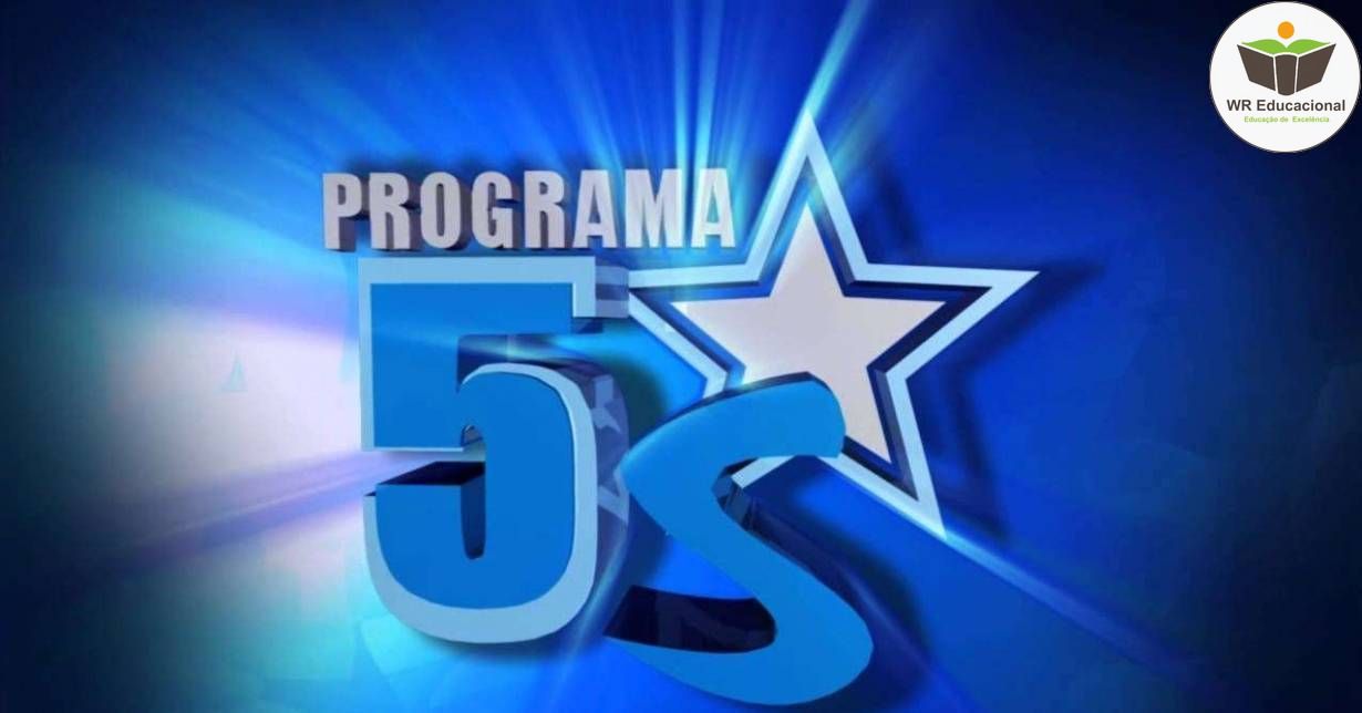 PROGRAMA 5S