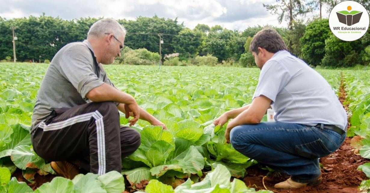 INICIALIZAÇÃO A ASSISTÊNCIA TÉCNICA E EXTENSÃO RURAL - ATER