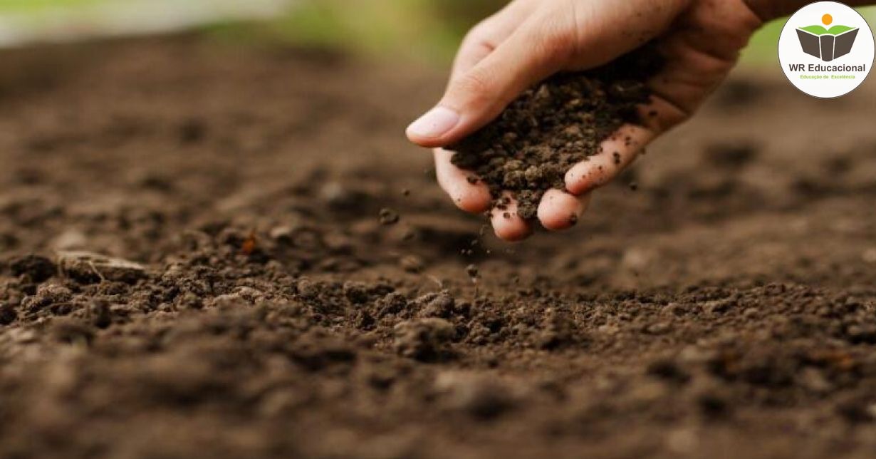 FERTILIDADE DO SOLO NOS ÚLTIMOS TEMPOS