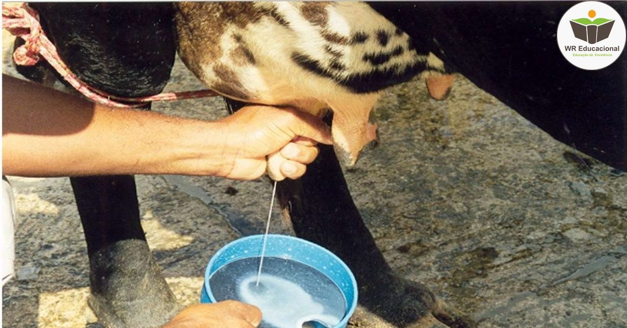 NOÇÕES BÁSICAS EM MASTITE BOVINA