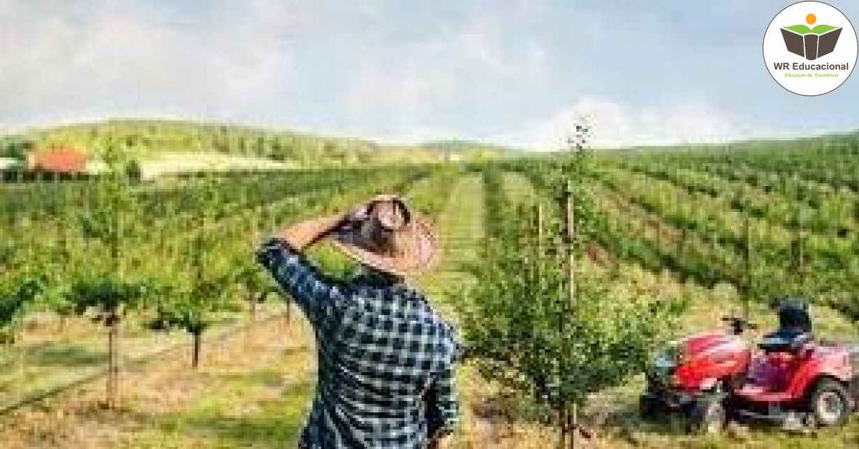 NOÇÕES BÁSICAS DA GESTÃO DE SEGURANÇA E DO TRABALHADOR RURAL