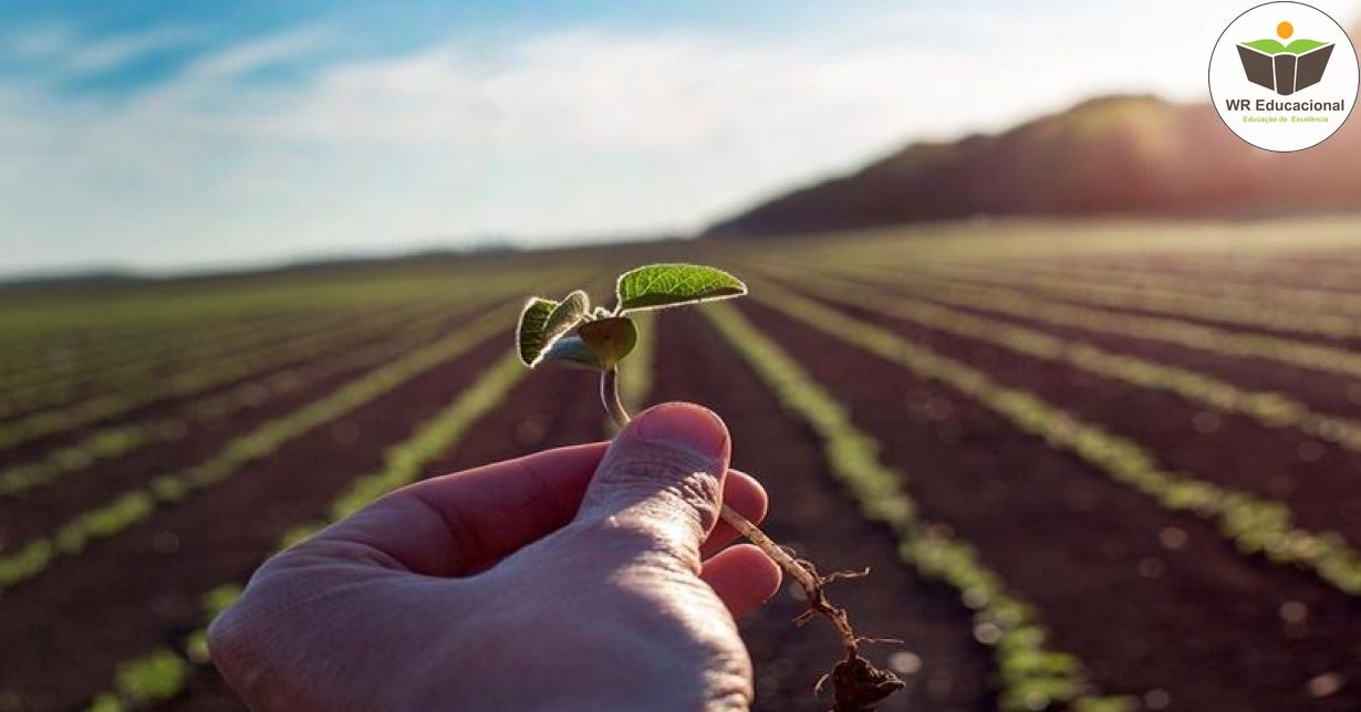 PRÁTICAS CONVENCIONAIS E SISTEMAS DE MANEJO DO SOLO