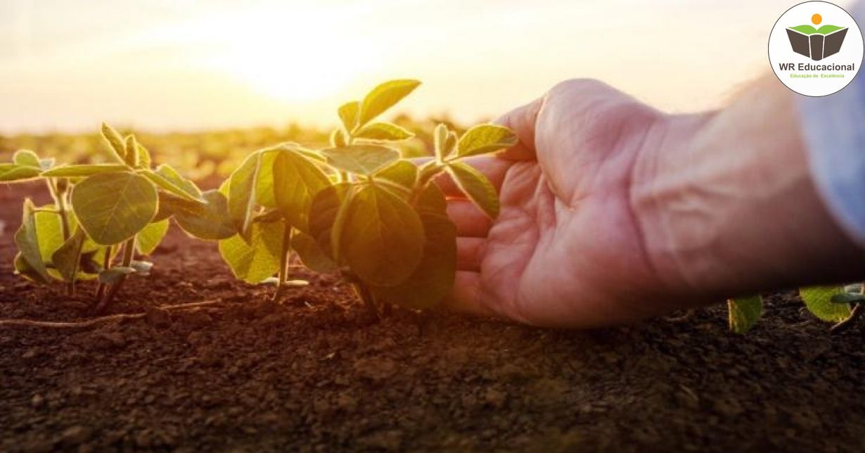 REGULAMENTAÇÃO TÉCNICA DA AGRICULTURA ORGÂNICA NO BRASIL