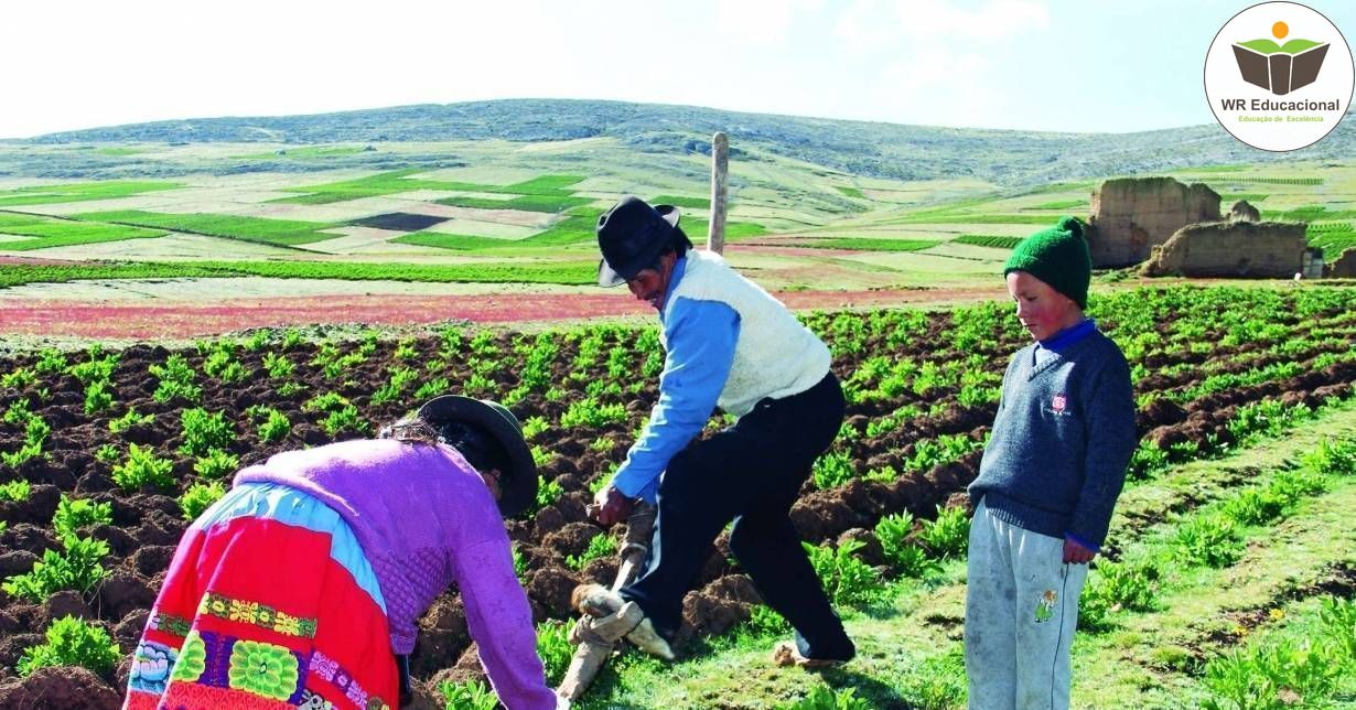 INTRODUÇÃO EM IMPLEMENTOS AGRÍCOLAS