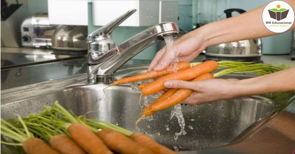 PROCESSAMENTO DE FRUTAS, VERDURAS E LEGUMES