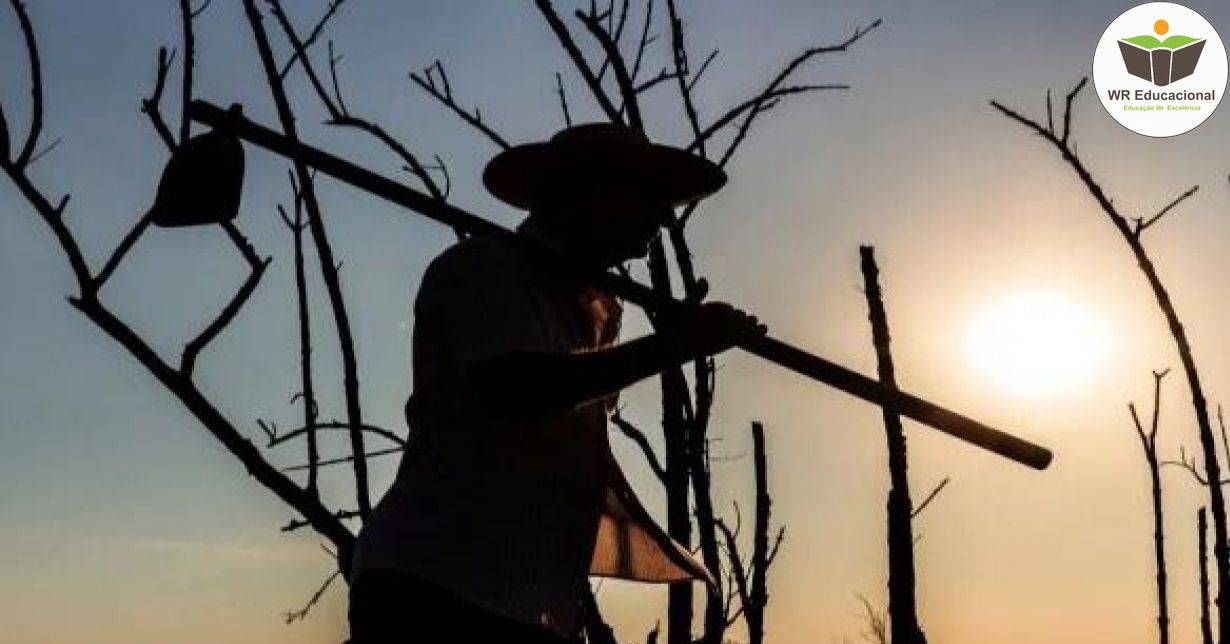 CONFLITOS AGRÁRIOS E DEMANDAS DO SISTEMA INTERAMERICANO DE DIREITOS HUMANOS AO BRASIL