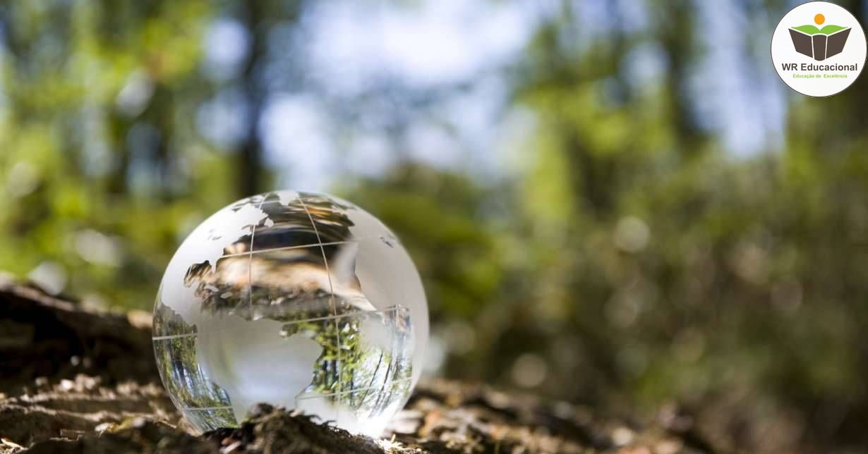 INTRODUÇÃO AO DIREITO E LEGISLAÇÃO AMBIENTAL