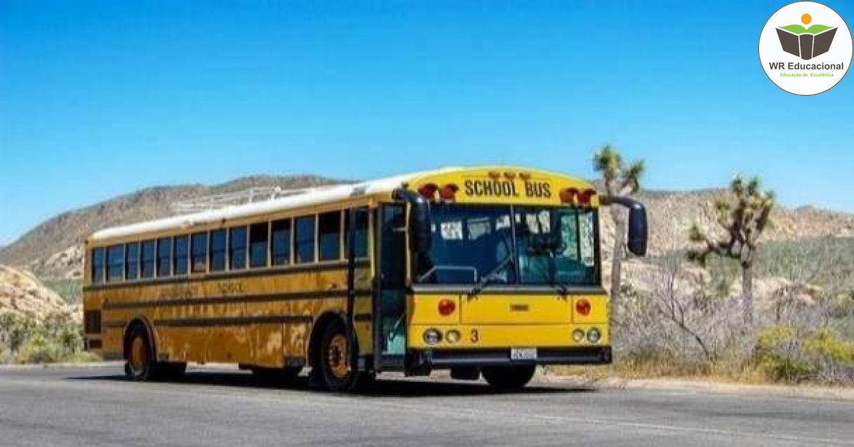 AUXILIAR DE TRANSPORTE ESCOLAR