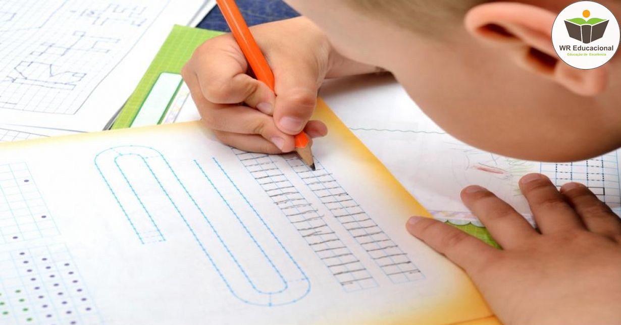 NOÇÕES BÁSICAS EM DEFICIÊNCIA INTELECTUAL
