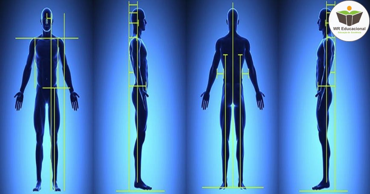 ORGANIZAÇÃO POSTURAL