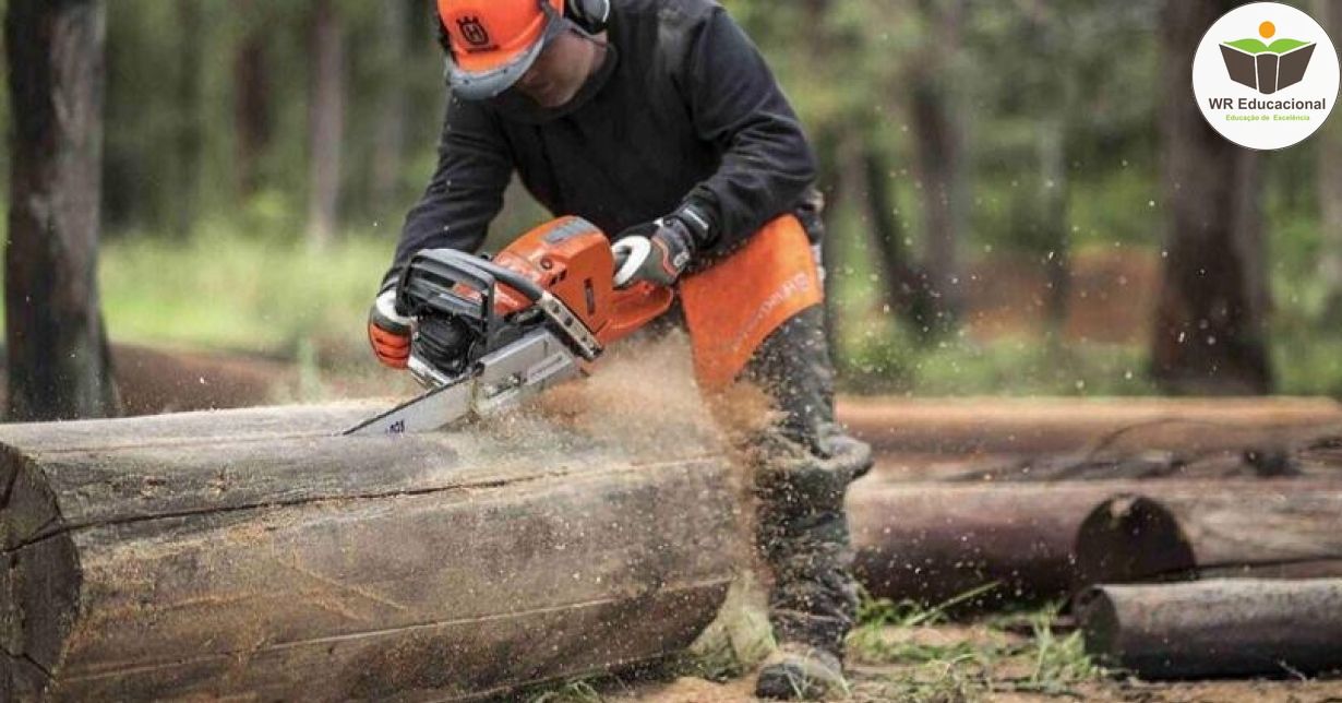 AVALIAÇÃO DE SEGURANÇA DO TRABALHO DE OPERADORES DE MOTOSSERRA