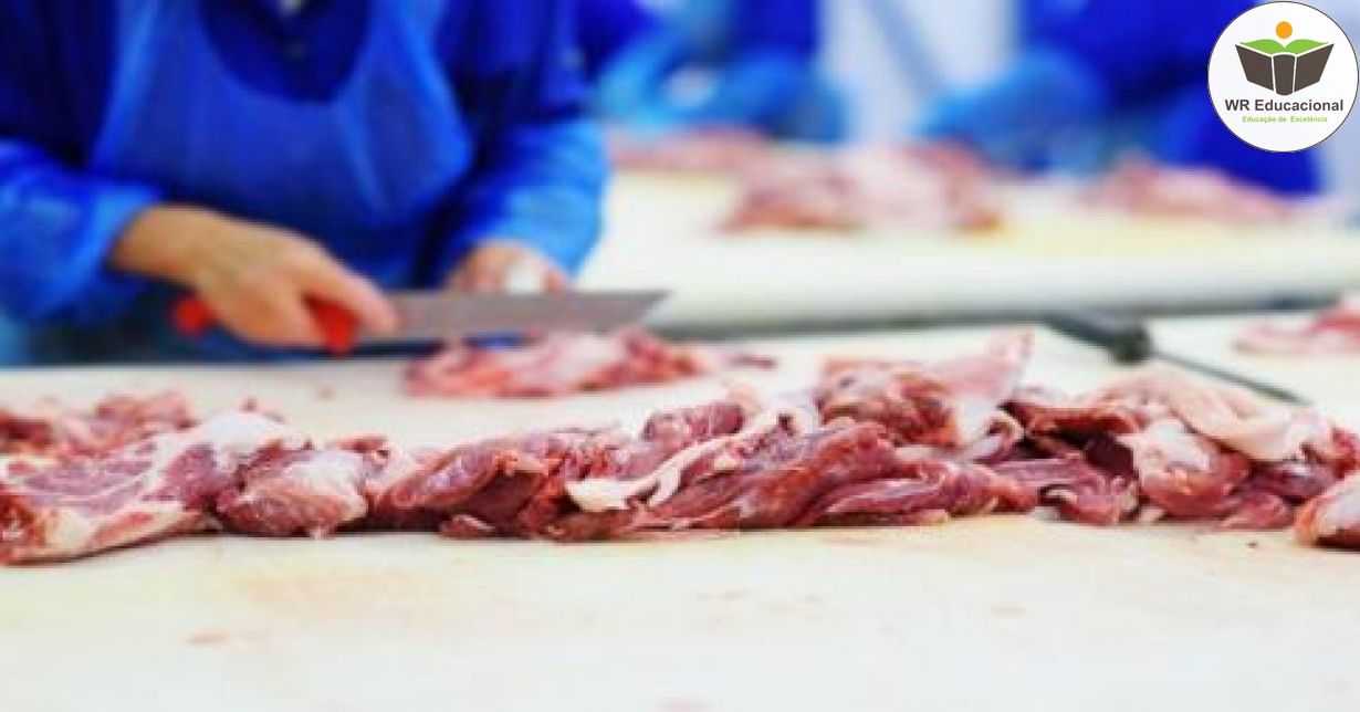 BÁSICO DE ABATE E PROCESSAMENTO DE CARNES E DERIVADOS