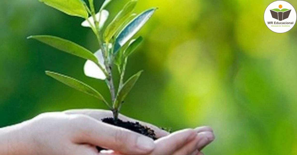 BÁSICO EM DESENVOLVIMENTO SUSTENTÁVEL