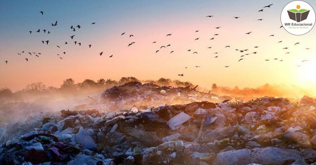  INQUISIÇÃO AMBIENTAL E OS RESÍDUOS INDUSTRIAIS