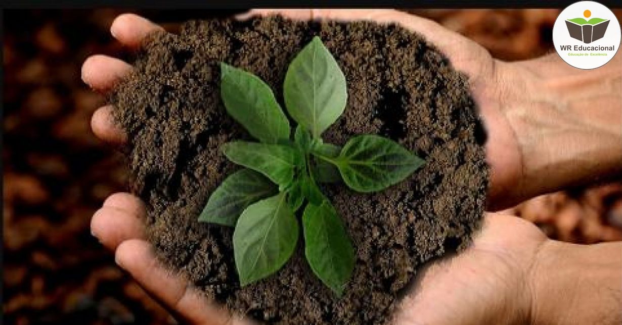 FUNDAMENTOS DAS TÉCNICAS SUSTENTÁVEIS