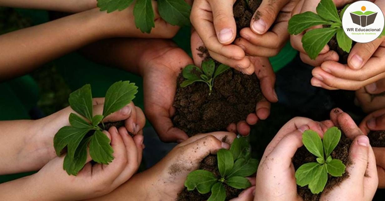 GESTÃO DO MEIO AMBIENTE: SUSTENTABILIDADE E EDUCAÇÃO AMBIENTAL