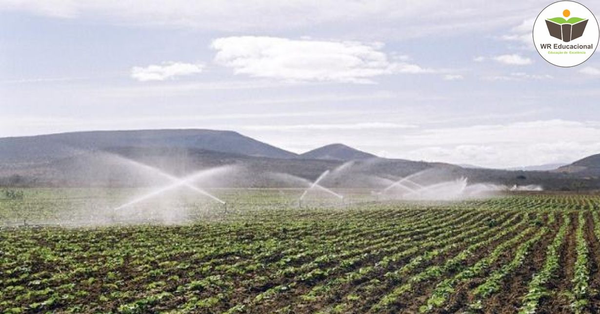 IMPACTOS AMBIENTAIS DA AGRICULTURA IRRIGADA