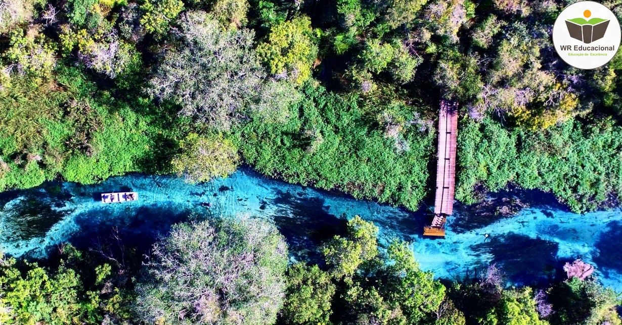 INICIAÇÃO AO ECO TURISMO