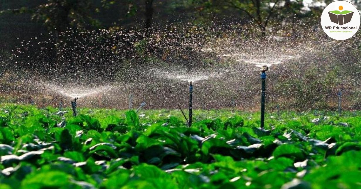 MÉTODOS ARTIFICIAIS DE PROPAGAÇÃO, LOCAL DE CULTIVO E PLANTIO DAS MUDAS NO JARDIM