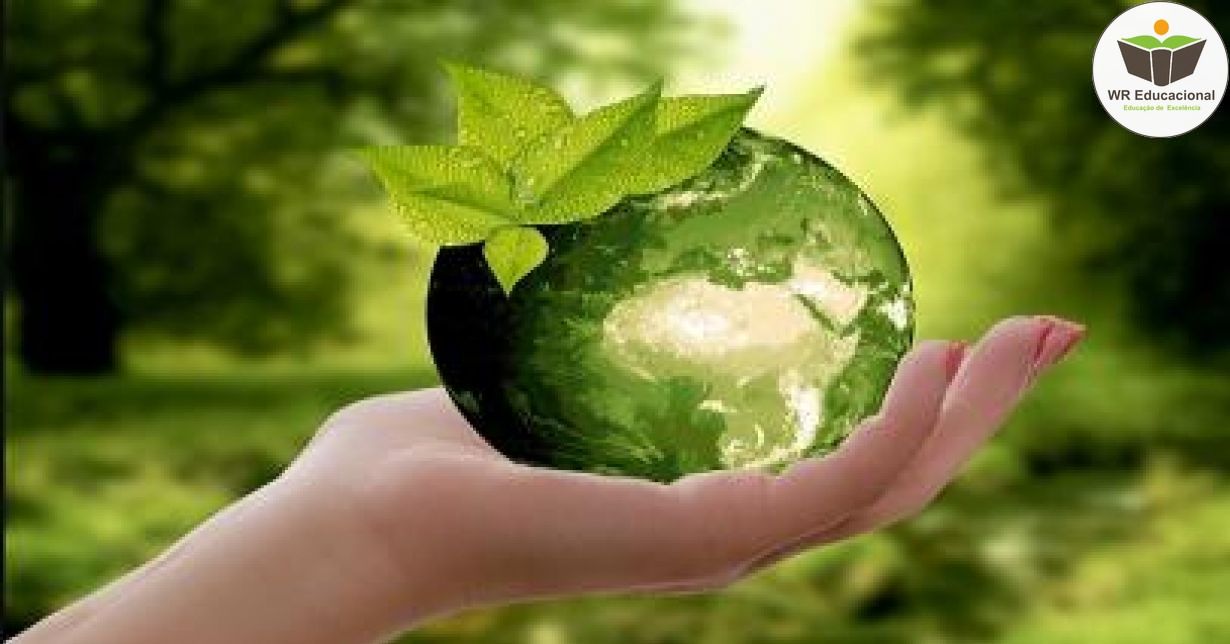 PRINCÍPIOS DAS TÉCNICAS SUSTENTÁVEIS