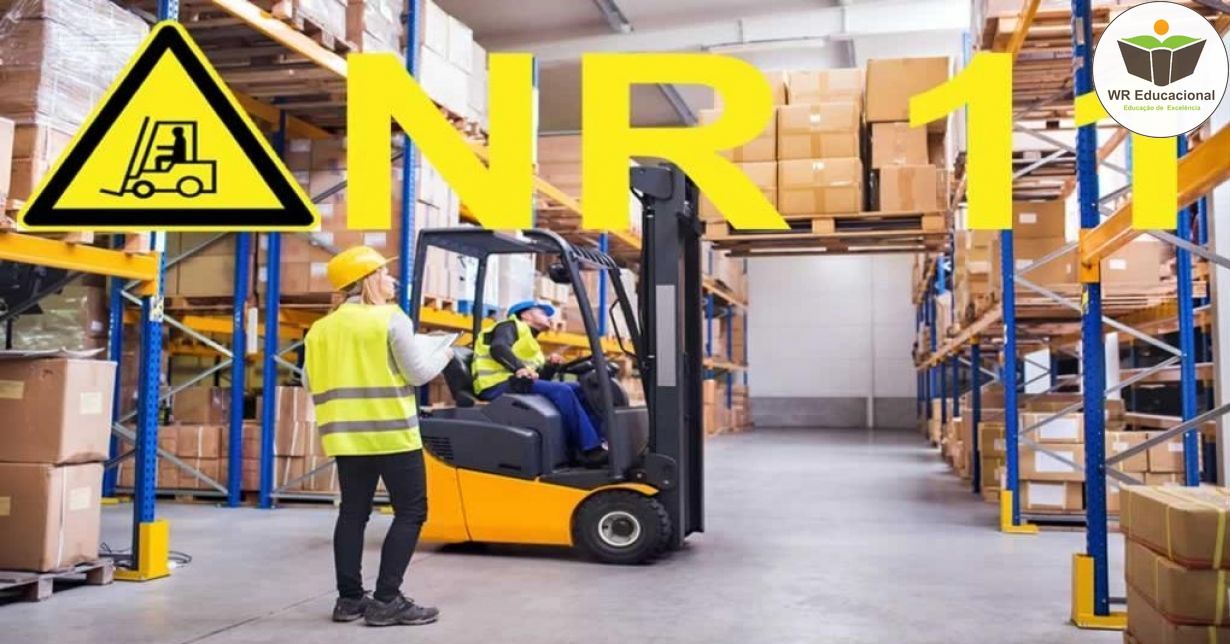 NR 11 - TRANSPORTE, MOVIMENTAÇÃO, ARMAZENAGEM E MANUSEIO DE MATERIAIS