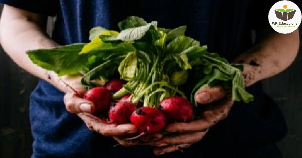 DESPERDÍCIO DE ALIMENTOS