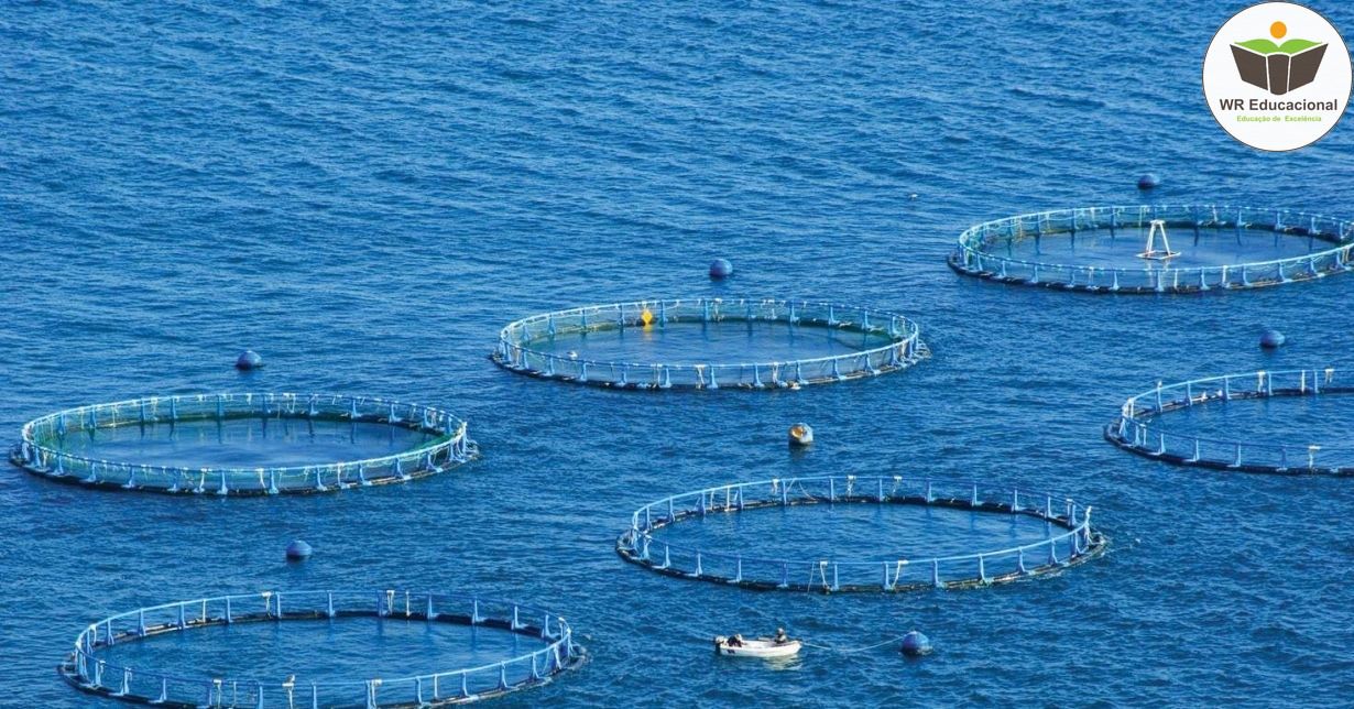 NOÇÕES DE AQUICULTURA