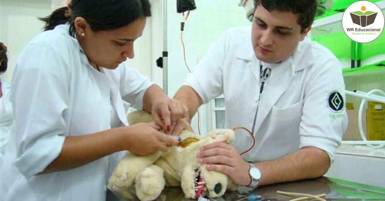 NOÇÕES BÁSICAS DE AUXILIAR DE VETERINÁRIA E PET SHOP