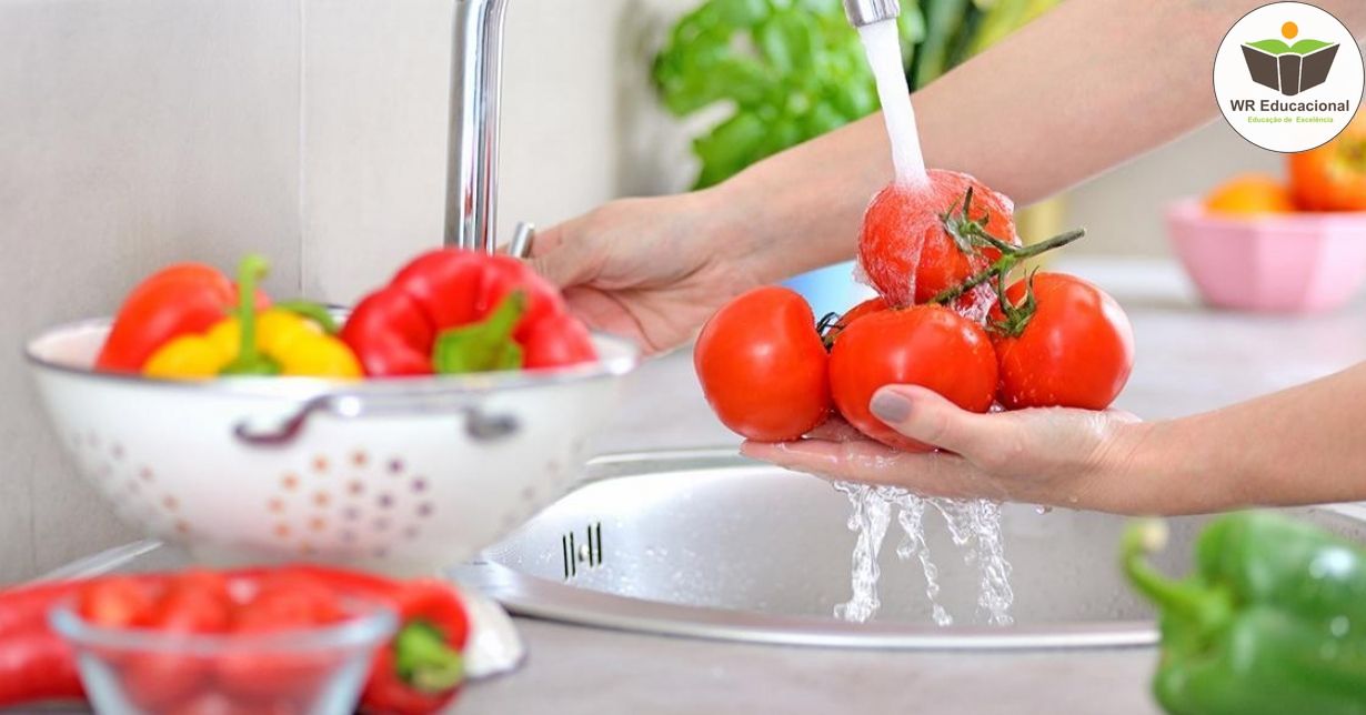 INTRUDUÇÃO EM BOAS PRÁTICAS PARA CONSERVAÇÃO DE ALIMENTOS