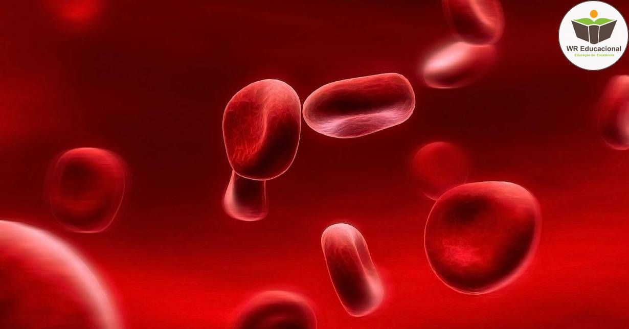 NOÇÕES BÁSICAS EM ANEMIAS