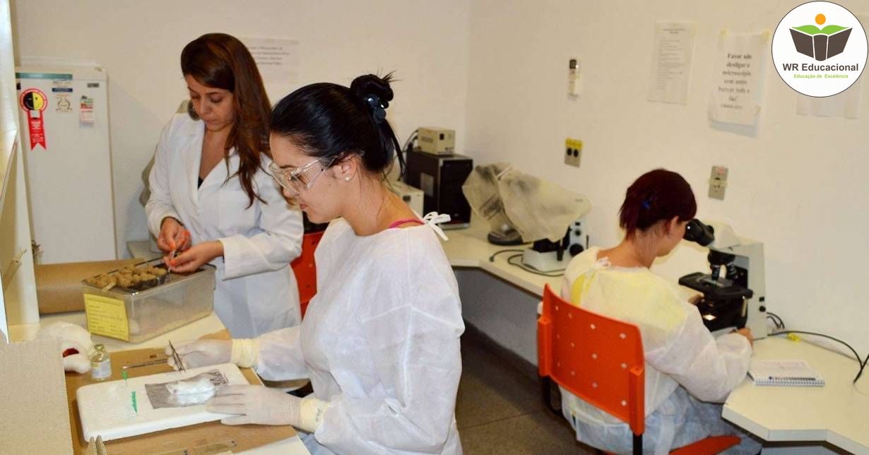 NOÇÕES BÁSICAS EM DOENÇAS INFECCIOSAS