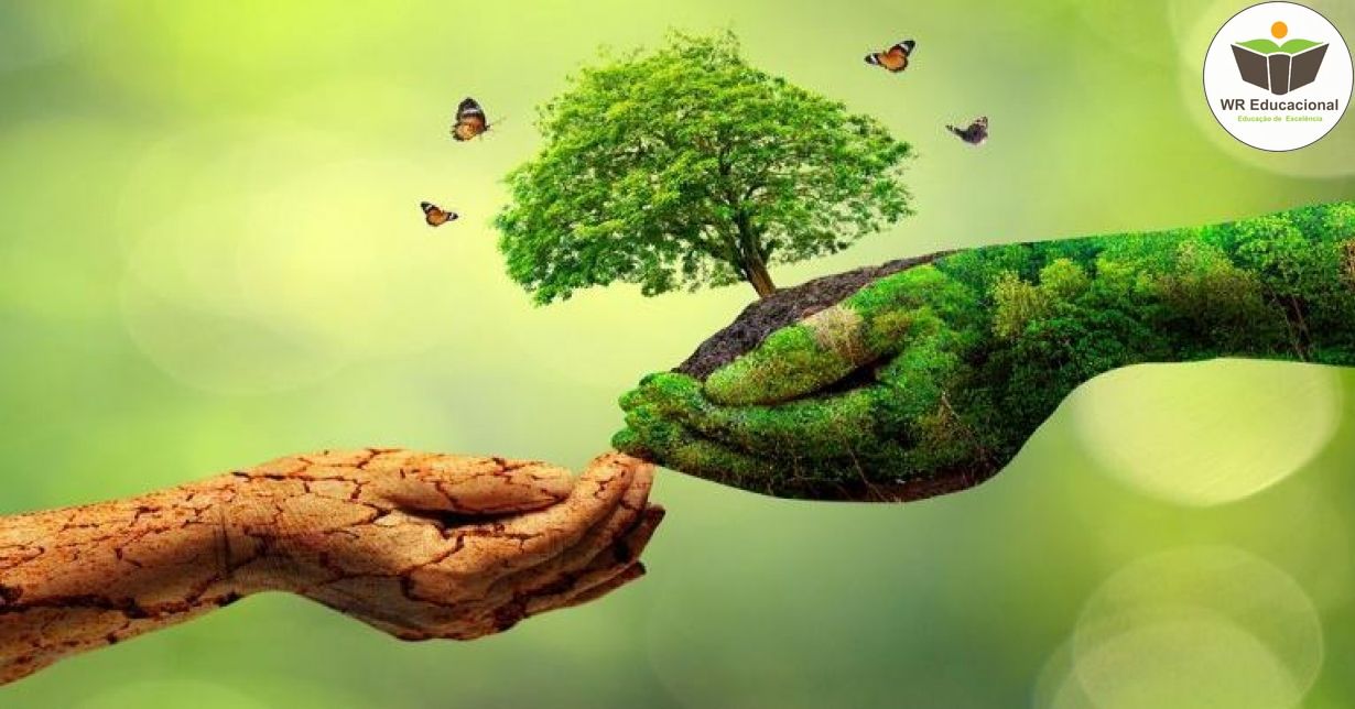 NOÇÕES BÁSICAS EM EDUCAÇÃO AMBIENTAL: NATUREZA, RAZÃO E HISTÓRIA