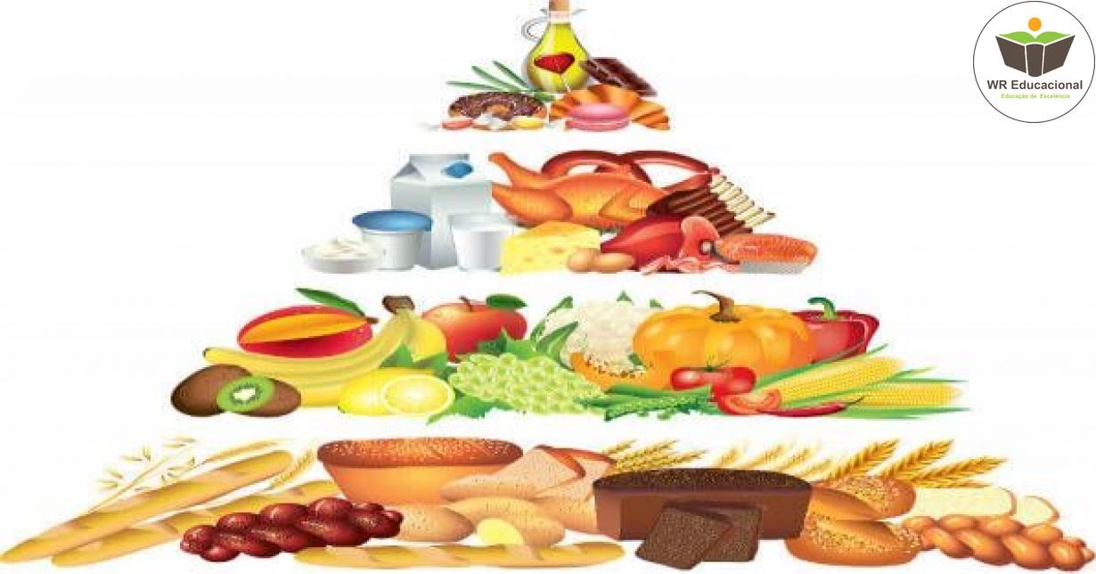 NOÇÕES BÁSICAS EM PIRÂMIDE ALIMENTAR ADAPTADA