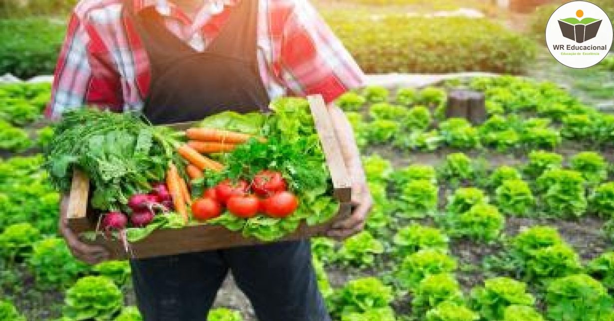 NOÇÕES BÁSICAS DA PRODUÇÃO DE SEMENTES DE HORTALIÇAS PARA A AGRICULTURA FAMILIAR