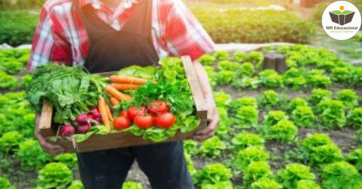 PRODUÇÃO DE SEMENTES DE HORTALIÇAS PARA A AGRICULTURA FAMILIAR