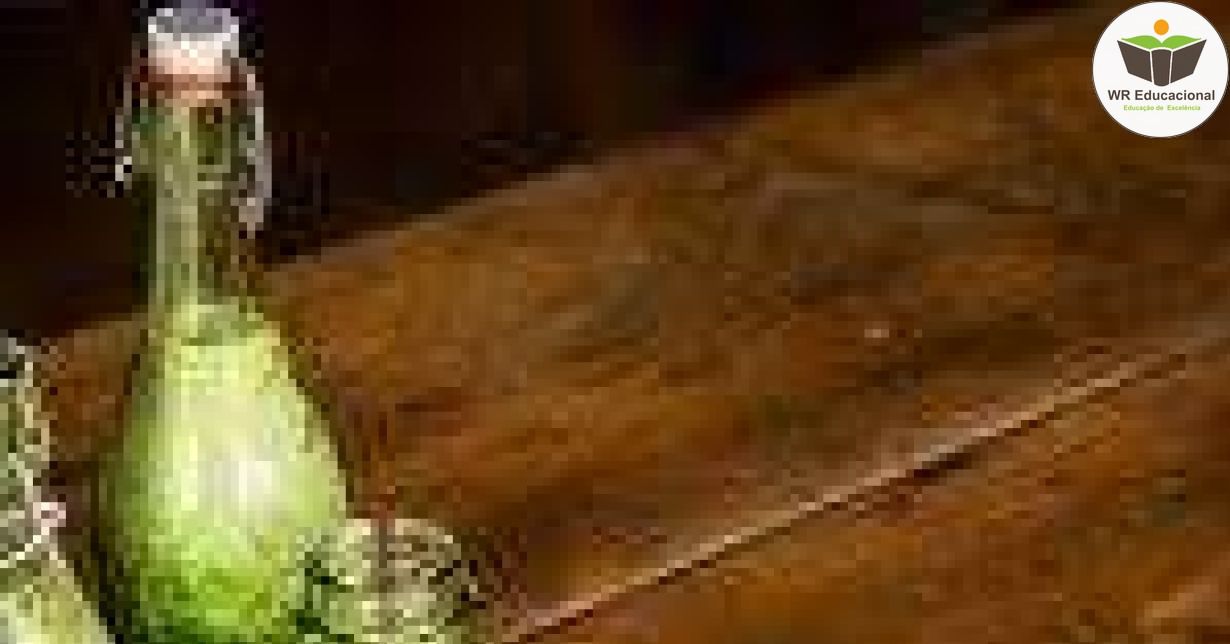 NOÇÕES BÁSICAS EM SUCOS DETOX E O AUXILIO NA PERDA DE PESO
