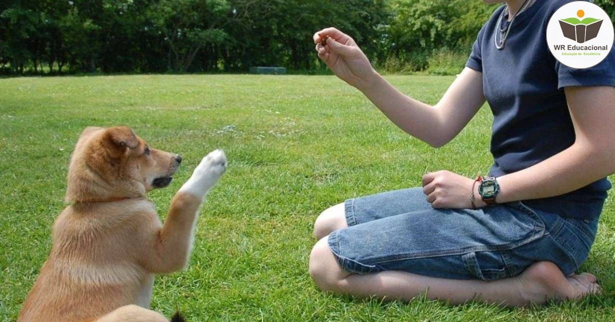 ADESTRAMENTO DE CÃES