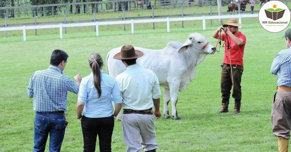 AUXILIAR EM AGROPECUÁRIA