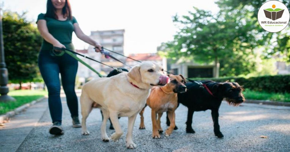 DOG WALKER