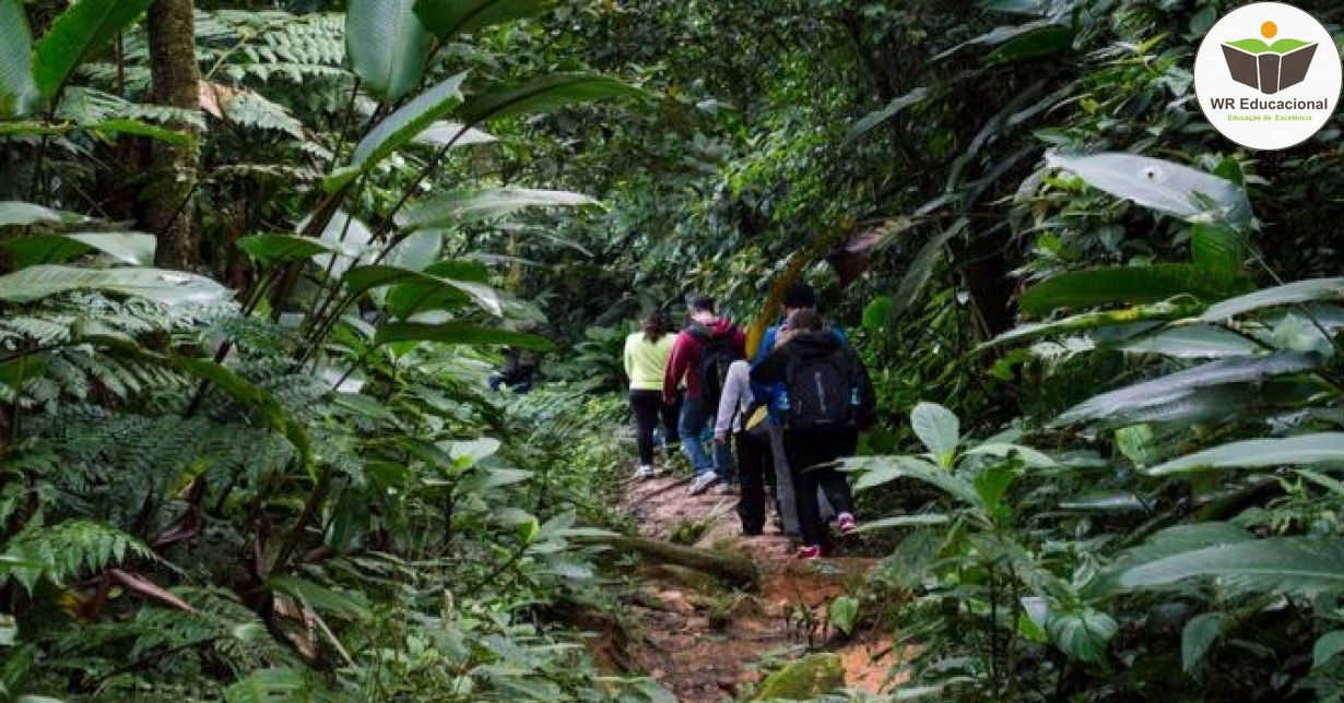 ECOTURISMO E SEU IMPACTO NO MEIO AMBIENTE